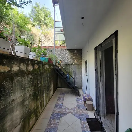 Summer Vibes House Paljasa