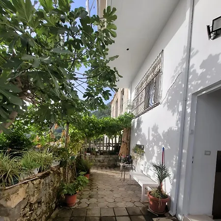 Summer Vibes House *